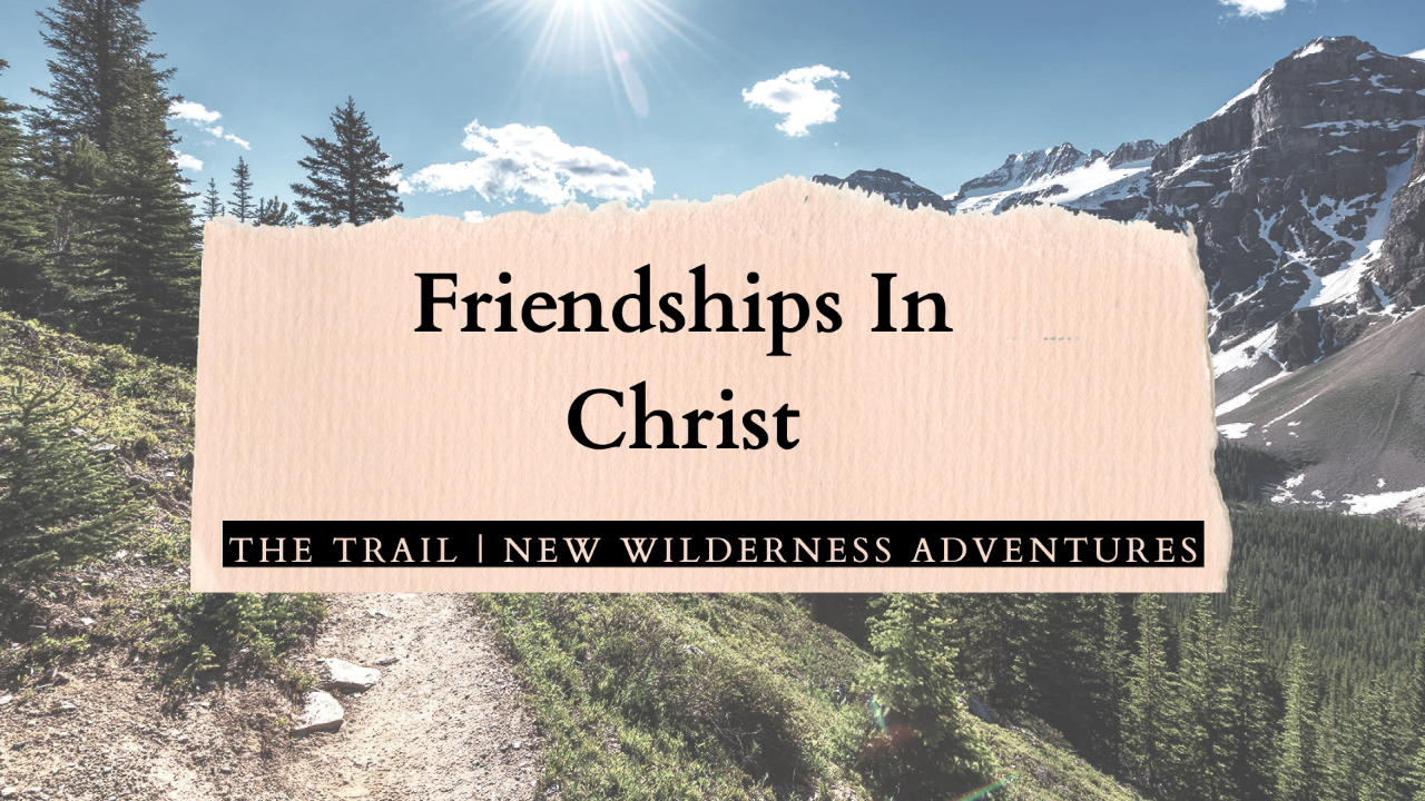 Featured image for “Friendships in Christ”